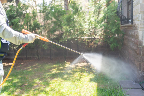 Best Affordable Pest Control Services  in Olney, TX